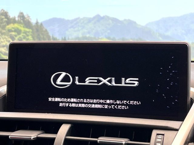 TOYOTA LEXUS NX300 2018
