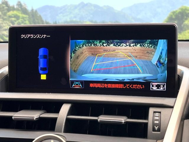 TOYOTA LEXUS NX300 2018