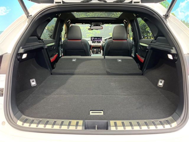 TOYOTA LEXUS NX300 2018