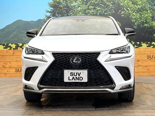 TOYOTA LEXUS NX300 2018