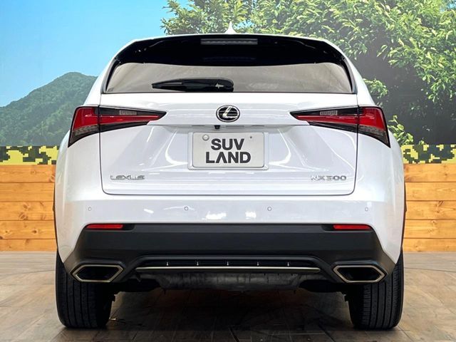 TOYOTA LEXUS NX300 2018