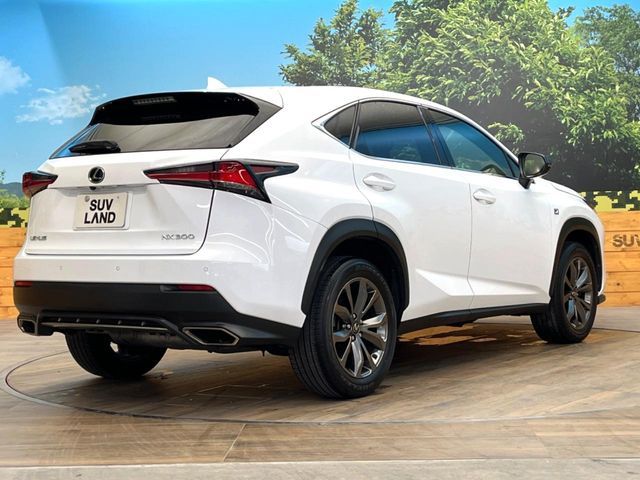 TOYOTA LEXUS NX300 2018