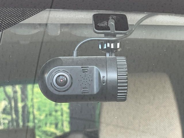 SUZUKI ALTO LAPIN 2019