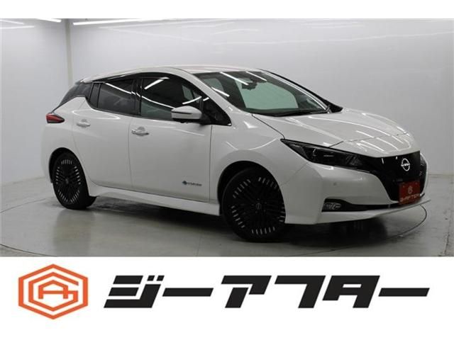 NISSAN LEAF 2022