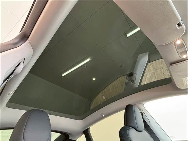 TESLA TESLA MODEL Y 2023