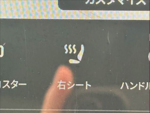 TESLA TESLA MODEL Y 2023