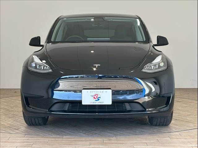 TESLA TESLA MODEL Y 2023