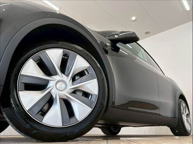 TESLA TESLA MODEL Y 2023