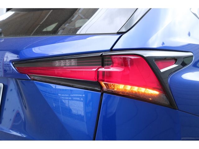 TOYOTA LEXUS NX300 AWD 2020