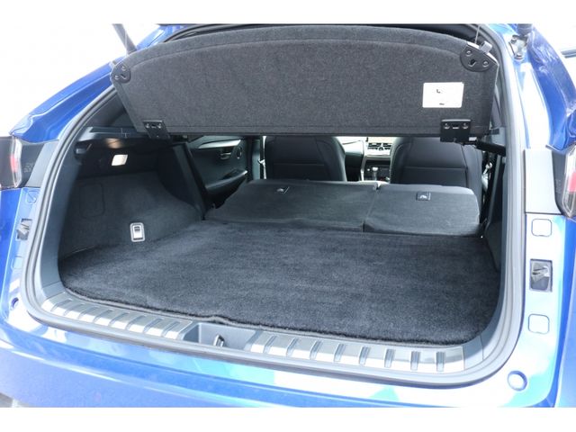 TOYOTA LEXUS NX300 AWD 2020