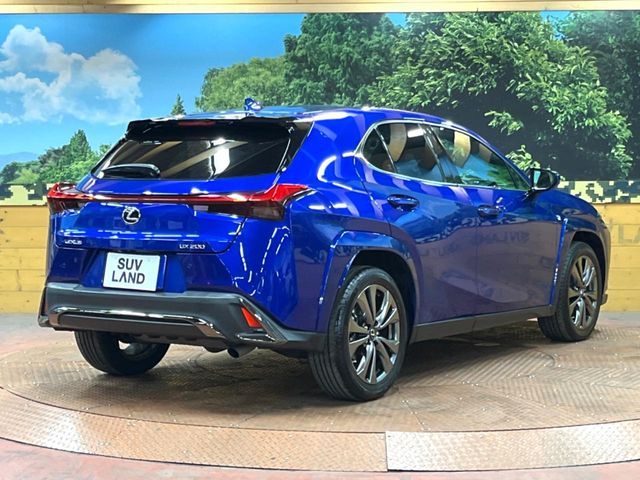 TOYOTA LEXUS UX200 2018