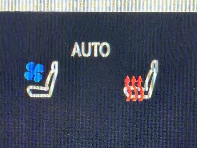 TOYOTA LEXUS NX350h AWD 2022