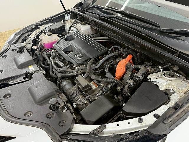 TOYOTA LEXUS NX350h AWD 2022