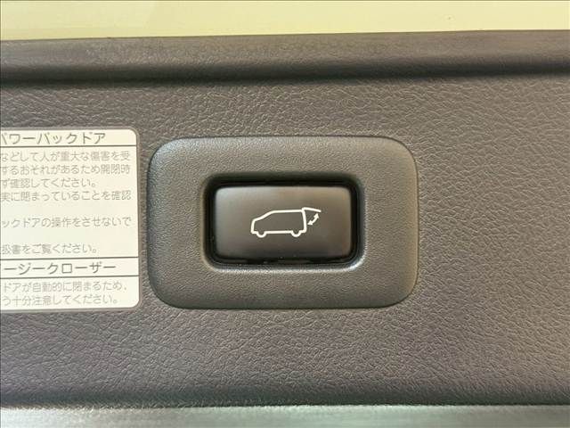 TOYOTA VELLFIRE 2019