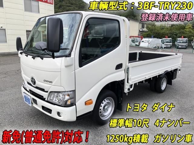 TOYOTA DYNA 2025