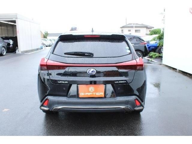 TOYOTA LEXUS UX250h 2019