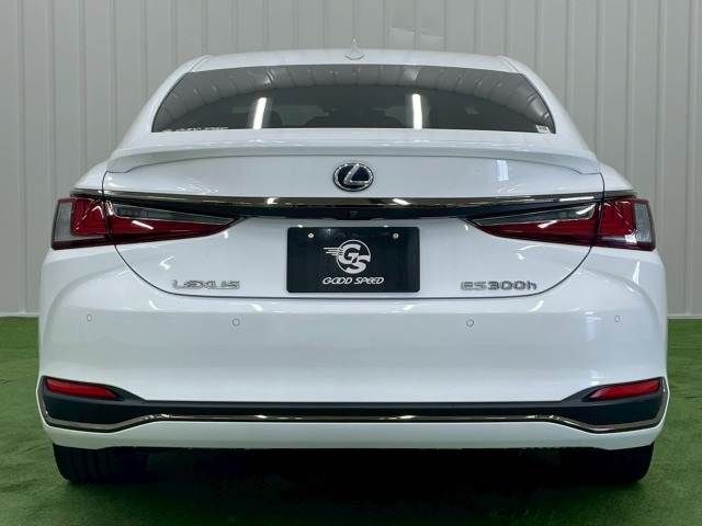 TOYOTA LEXUS ES300h 2021