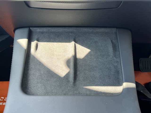 TESLA TESLA MODEL 3 2021