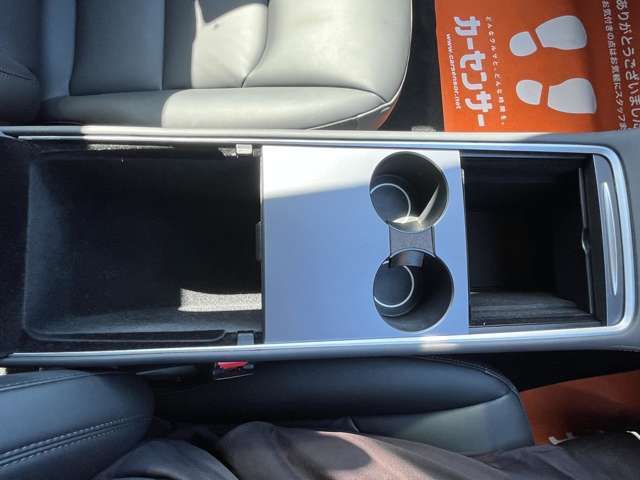 TESLA TESLA MODEL 3 2021