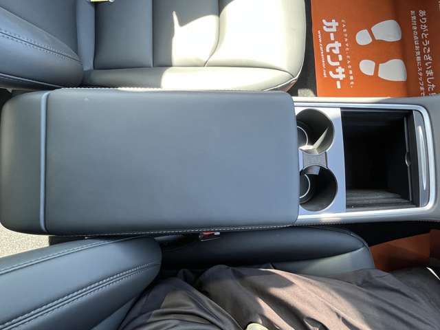 TESLA TESLA MODEL 3 2021