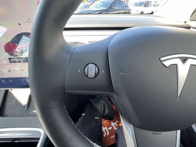 TESLA TESLA MODEL 3 2021