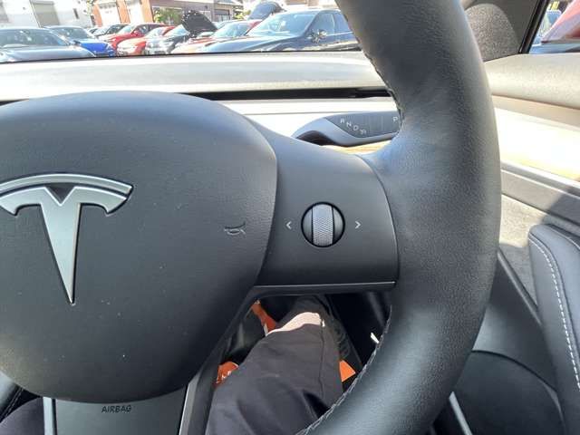 TESLA TESLA MODEL 3 2021