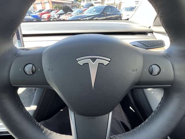 TESLA TESLA MODEL 3 2021