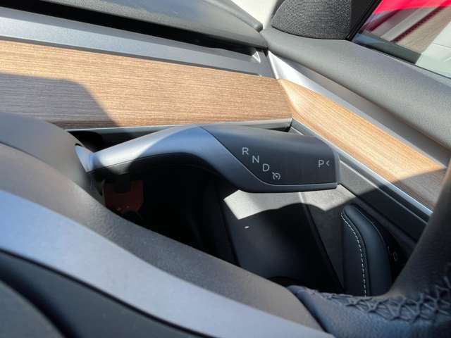 TESLA TESLA MODEL 3 2021