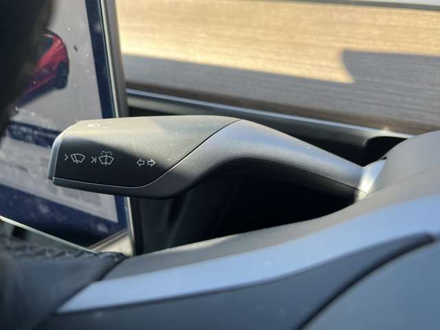 TESLA TESLA MODEL 3 2021