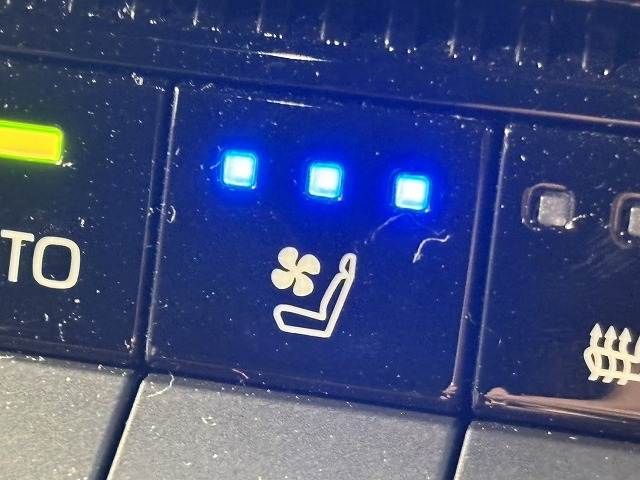 TOYOTA LANDCRUISER 250 2024