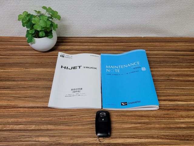 DAIHATSU HIJET truck 2021