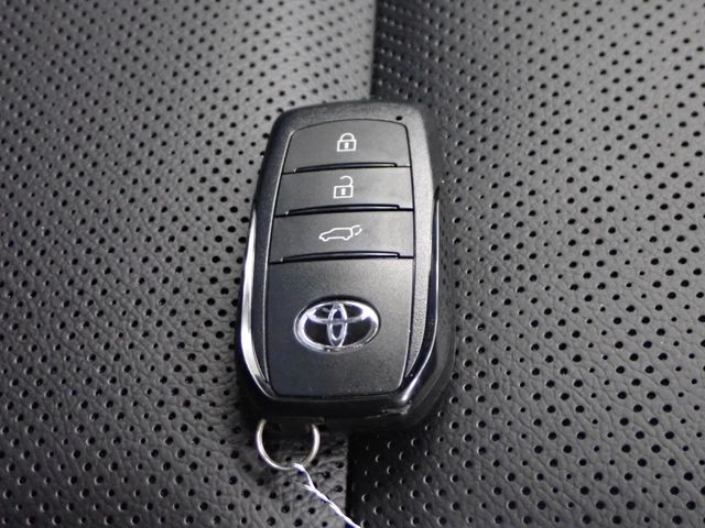 TOYOTA LANDCRUISER 250 2025