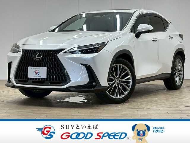 TOYOTA LEXUS NX350h 2023