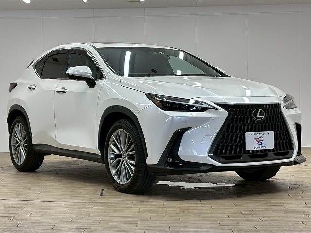TOYOTA LEXUS NX350h 2023