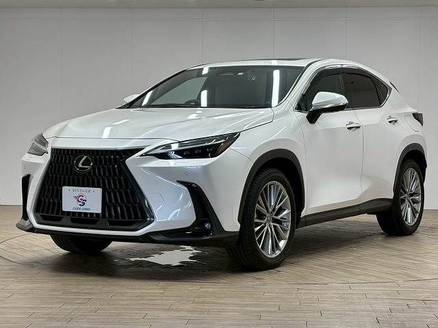 TOYOTA LEXUS NX350h 2023