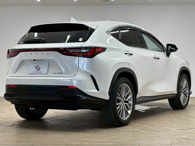 TOYOTA LEXUS NX350h 2023