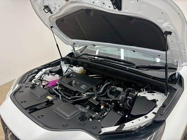 TOYOTA LEXUS NX350h 2023