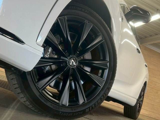 TOYOTA LEXUS RX500h 2023