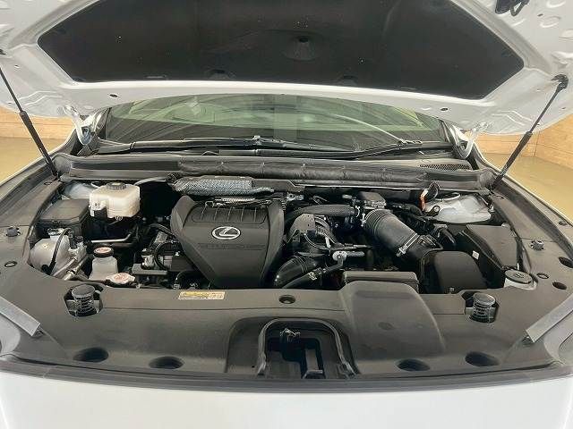 TOYOTA LEXUS RX500h 2023