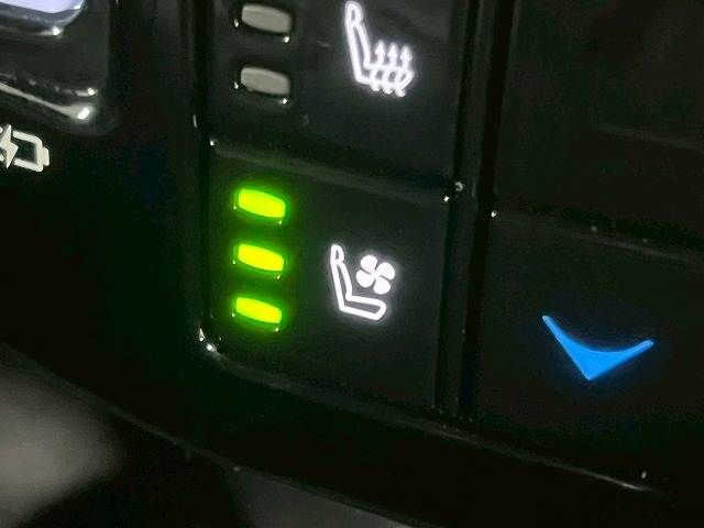 TOYOTA LEXUS RX500h 2023