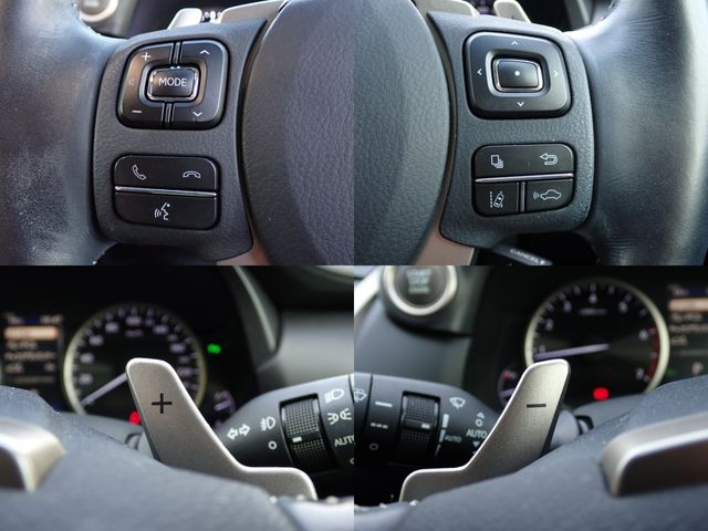 TOYOTA LEXUS NX300 2018