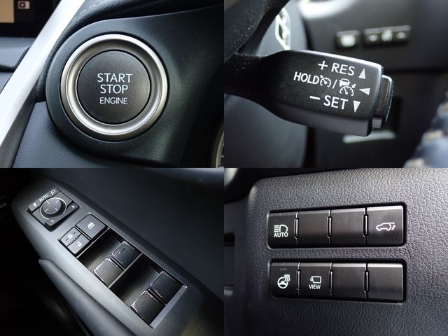 TOYOTA LEXUS NX300 2018