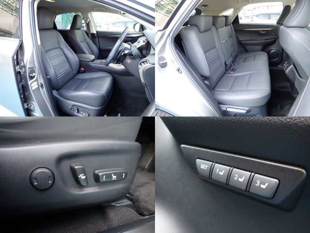 TOYOTA LEXUS NX300 2018