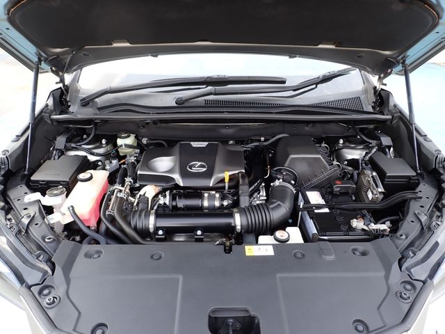 TOYOTA LEXUS NX300 2018