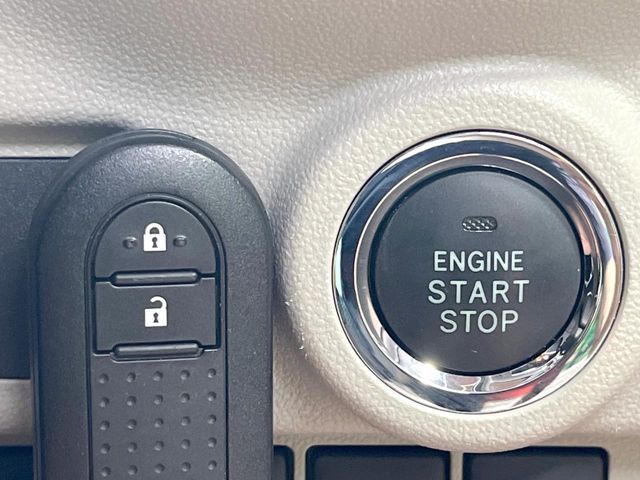 DAIHATSU CAST STYLE 2017