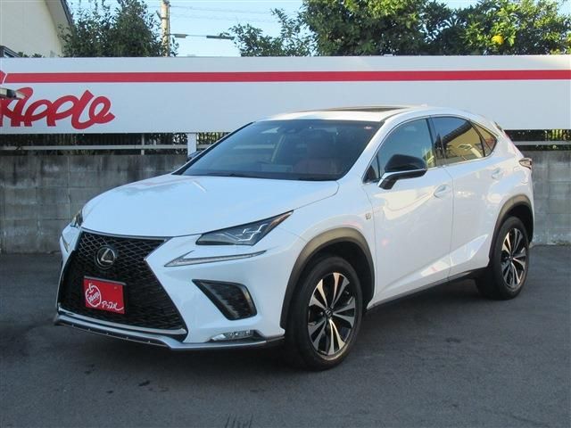 TOYOTA LEXUS NX300 2018
