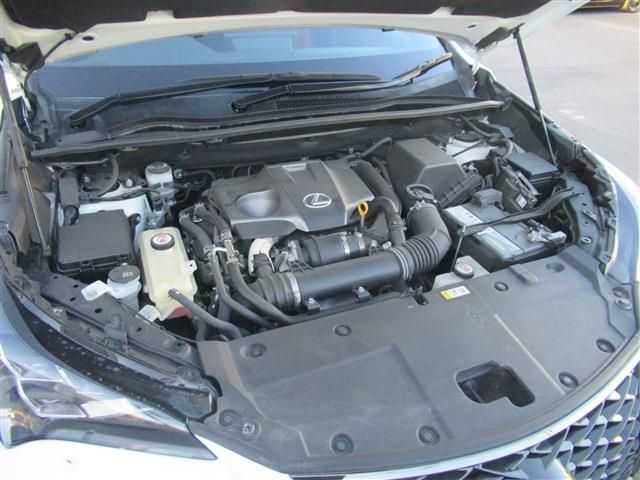 TOYOTA LEXUS NX300 2018