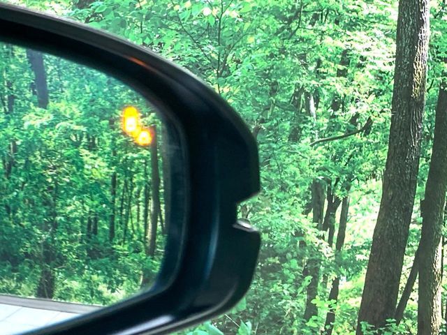 HONDA VEZEL e:HEV 2021