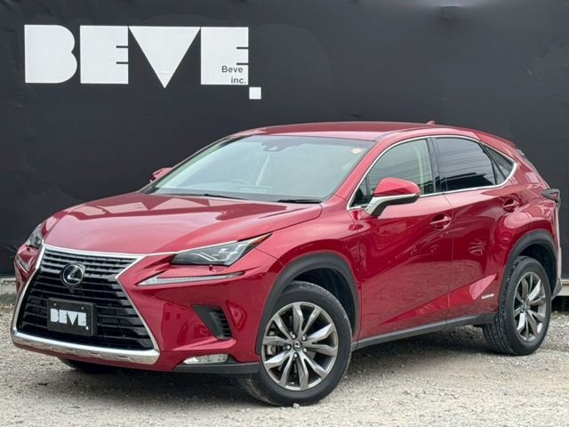 TOYOTA LEXUS NX300h 2018