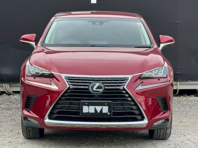 TOYOTA LEXUS NX300h 2018